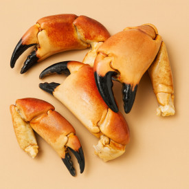 Pinces de tourteaux cuites