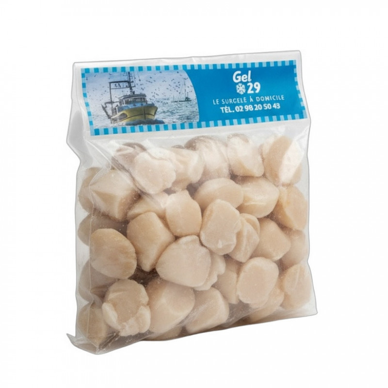 Saint-Jacques de Saint-Brieuc