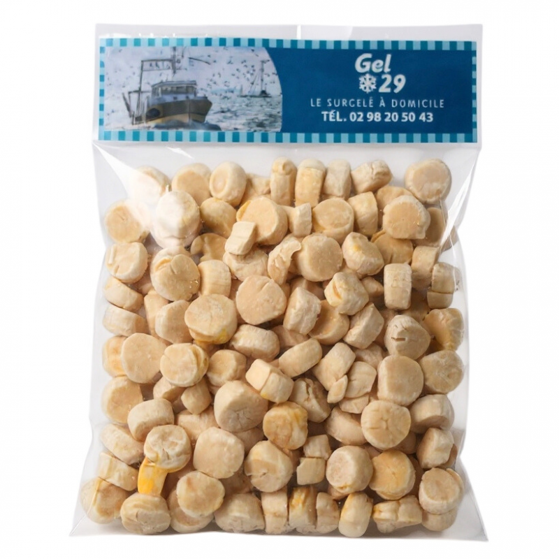 Noix de Saint-Jacques